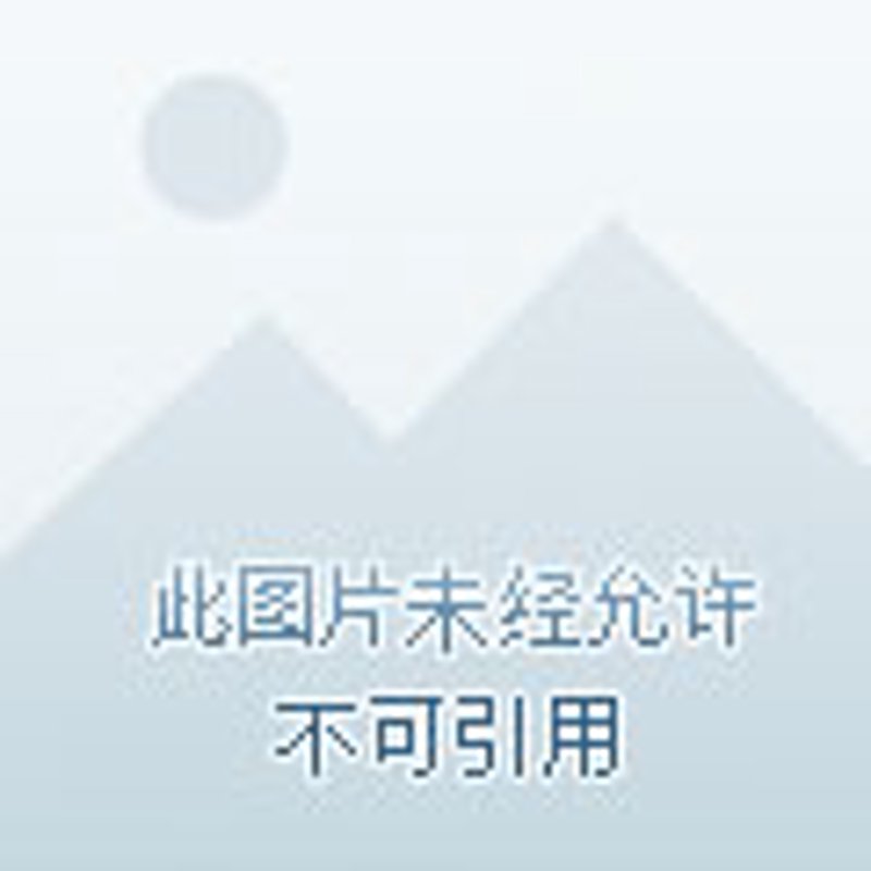 在线调查：开启企业洞察新窗口